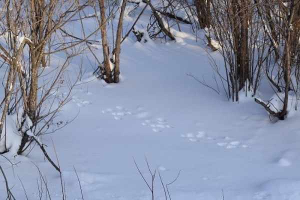 Прогулка после праздника!))) Прогулка после праздника!)))