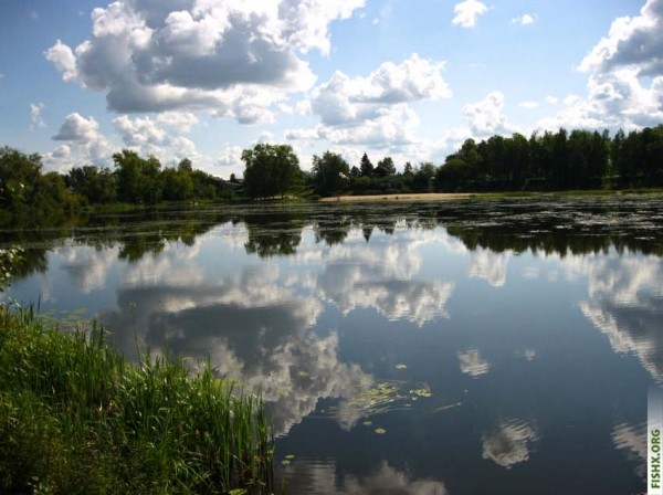 Обычные снасти работают Обычные снасти работают