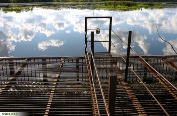 Обычные снасти работают Обычные снасти работают