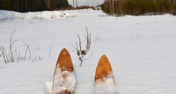 За лисой на писк За лисой на писк