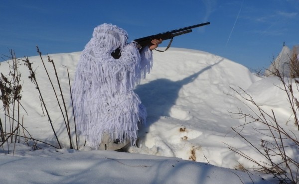 За лисой на писк За лисой на писк