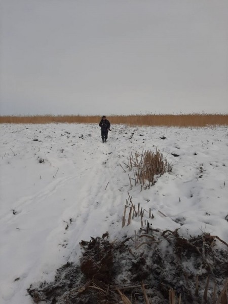 С Новым Годом! С Новым Годом!