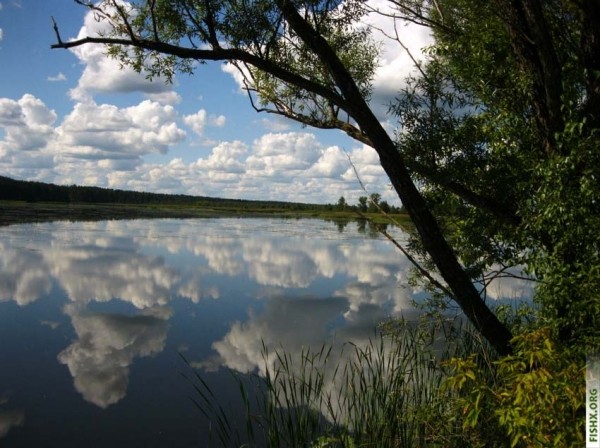 Обычные снасти работают Обычные снасти работают