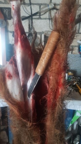 С Новым Годом! С Новым Годом!