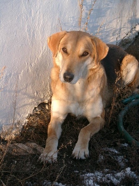 Когда спящий проснется?