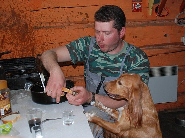 Когда спящий проснется?