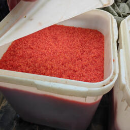 Магаданец поплатился за бизнес на нелегальных морепродуктах