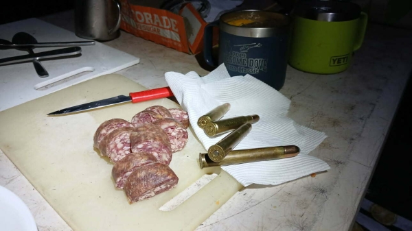Охота в Австралии. Пара буйволов и пара кабанчиков (с фотографиями) Охота в Австралии. Пара буйволов и пара кабанчиков (с фотографиями)