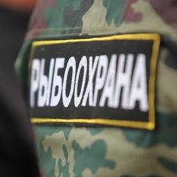 Инспекторам рыбоохраны уточнили полномочия
