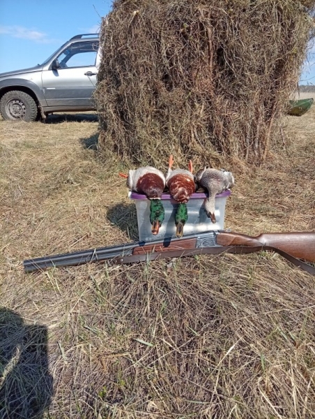 Суровый апрель с июльской жарой.