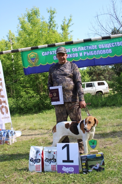 Чемпионы на Волге. Итоги выставки собак в Саратовской области (фото)