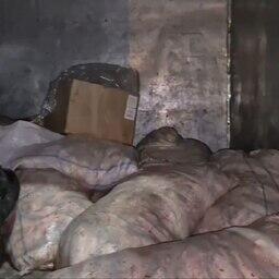 Астраханские полицейские перехватили полтонны браконьерской воблы Астраханские полицейские перехватили полтонны браконьерской воблы
