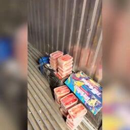 Подпольный цех по переработке краба накрыли в Подмосковье Подпольный цех по переработке краба накрыли в Подмосковье