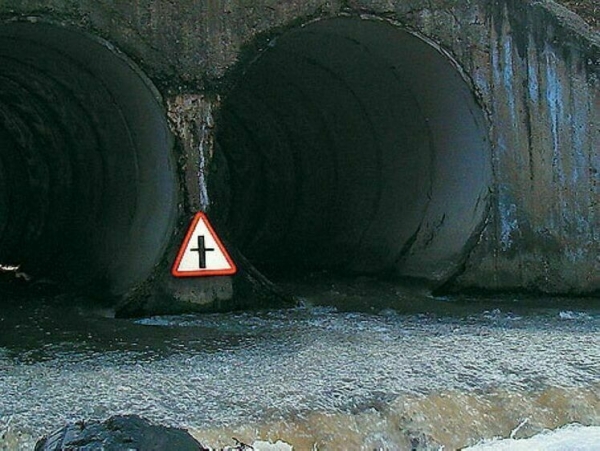 У воды да не напиться?