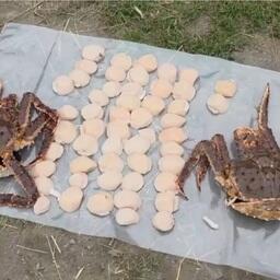 Сахалинских браконьеров взяли с уловом морепродуктов