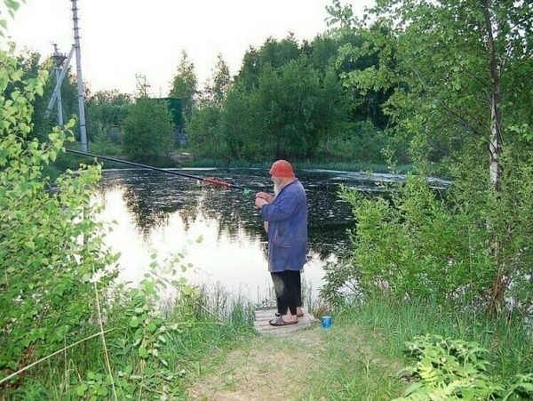 Задумчивые ивы на чистых прудах Задумчивые ивы на чистых прудах