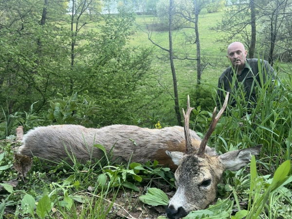 Весенняя охота на единорога в Румынии (краткий отчет с фотографиями)