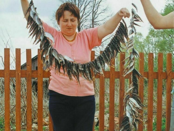 Удача любит умелых Удача любит умелых